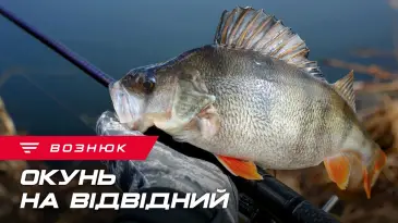 Зображення новини