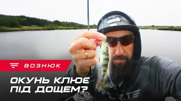 Осіння рибалка під дощем: тест нової котушки Favorite Blue Bird Nano — результат здивував!