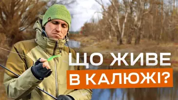 КАК и ЧЕМ поймать хищника в маленькой луже. Маленькое озеро с большими сюрпризами.