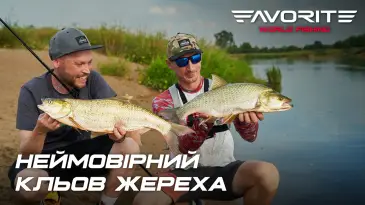 Зображення новини