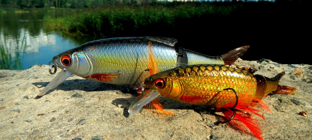 SavageGear3DRoachLipster
