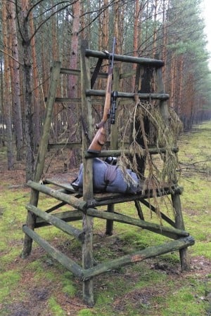  Козлы для загона. ТБ требует стрелять с возвышения