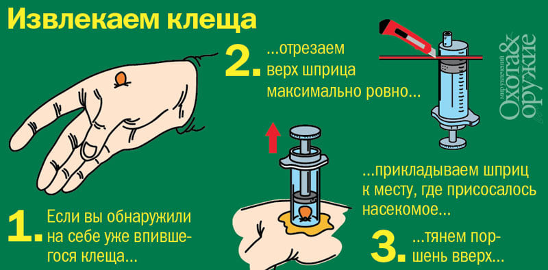 mos-12
