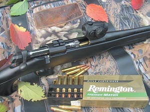 aimpoint 1